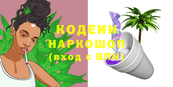 дживик Корсаков