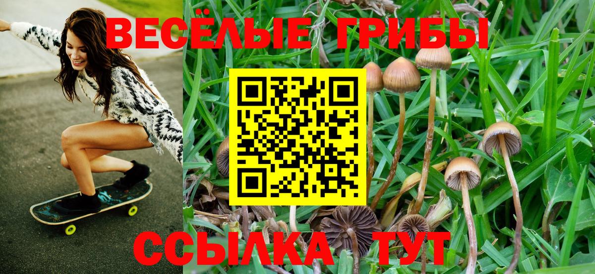 Лабытнанги  Галлюциногенные грибы Psilocybine cubensis  Псилоцибиновые грибы Magic Shrooms  Вход с VPN 